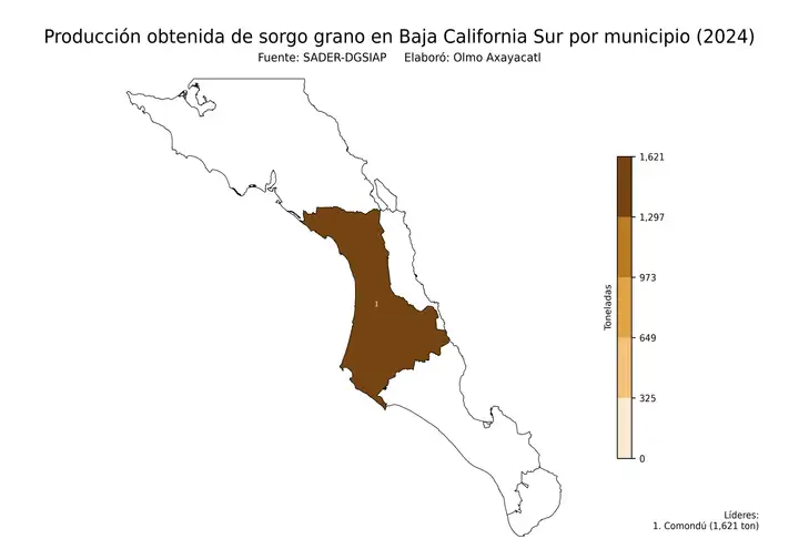 Producción obtenida de sorgo en Baja California Sur por municipio
