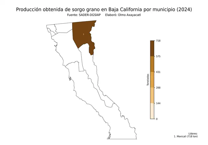 Producción obtenida de sorgo en Baja California por municipio