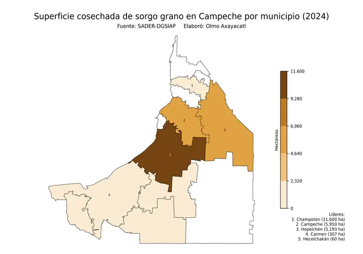 Superficie cosechada de sorgo en Campeche por municipio