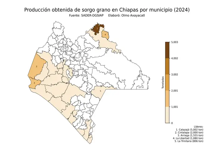 Producción obtenida de sorgo en Chiapas por municipio