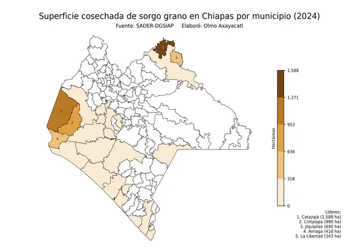 Superficie cosechada de sorgo en Chiapas por municipio