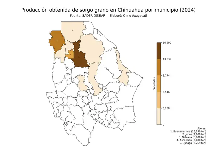 Producción obtenida de sorgo en Chihuahua por municipio