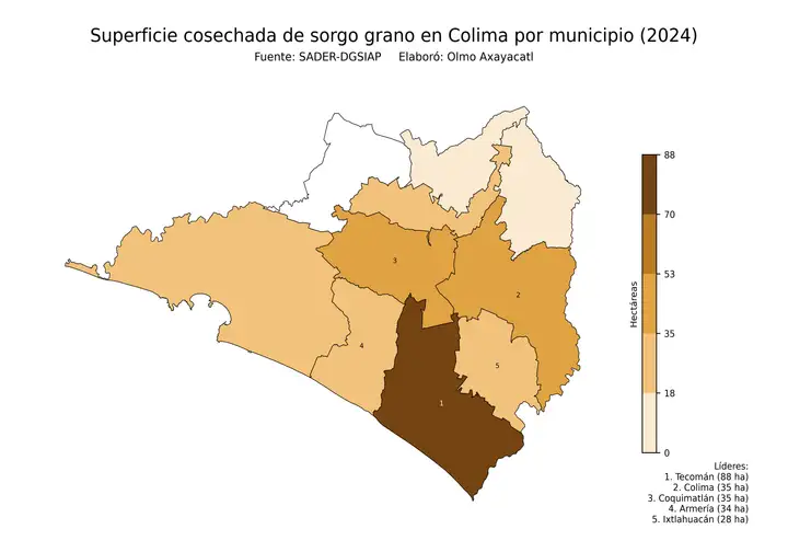 Superficie cosechada de sorgo en Colima por municipio