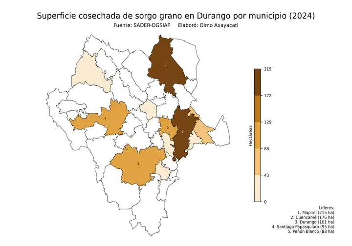 Superficie cosechada de sorgo en Durango por municipio
