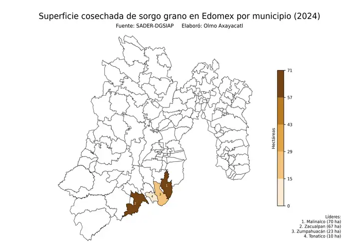 Superficie cosechada de sorgo en Estado de México por municipio