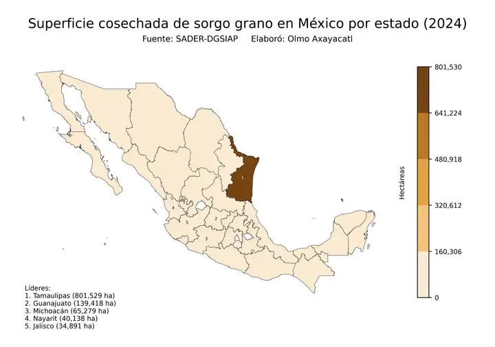 Superficie cosechada de sorgo en México por estado
