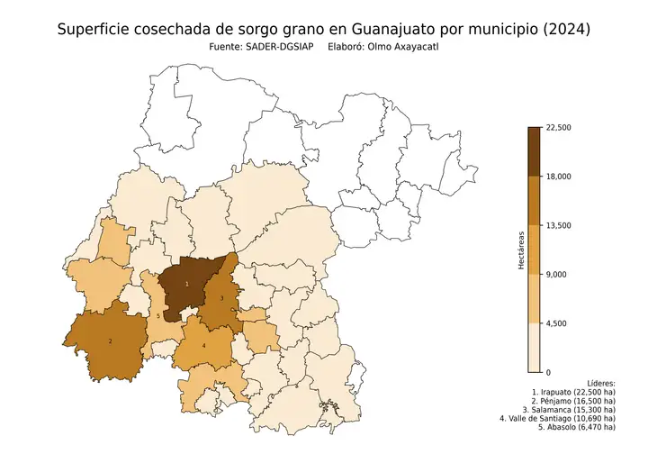 Superficie cosechada de sorgo en Guanajuato por municipio