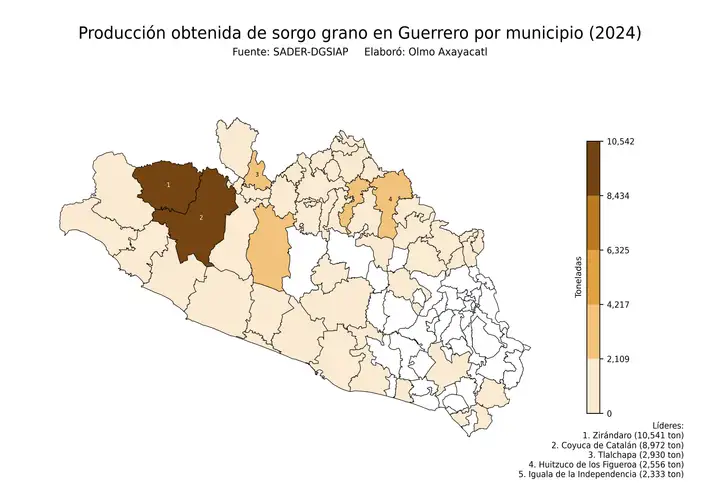 Producción obtenida de sorgo en Guerrero por municipio
