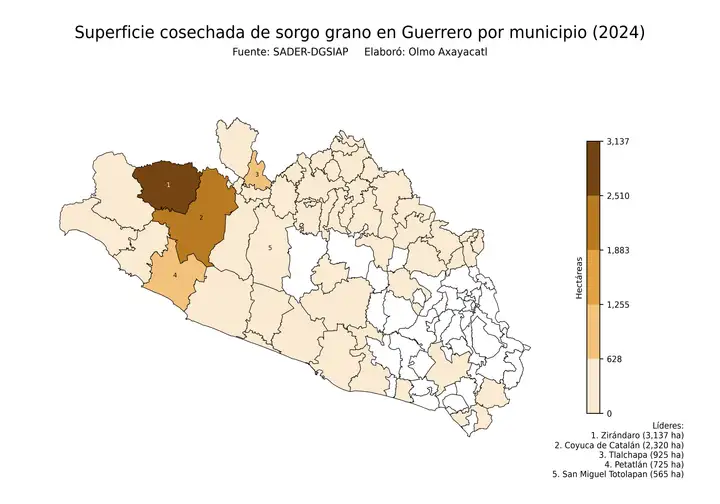 Superficie cosechada de sorgo en Guerrero por municipio