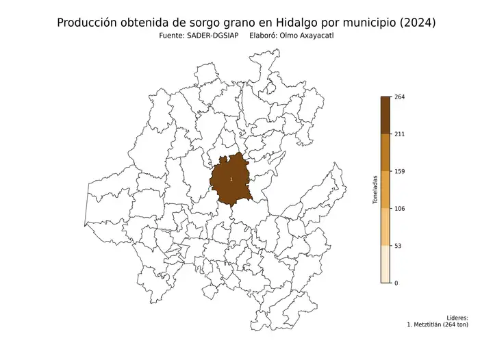 Producción obtenida de sorgo en Hidalgo por municipio