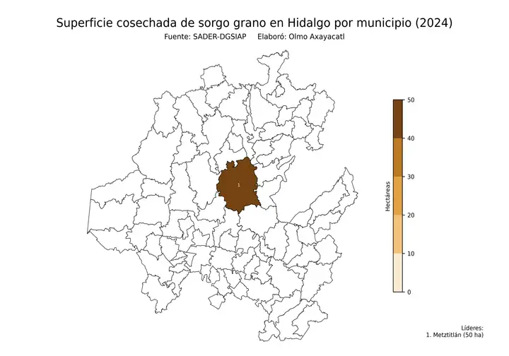 Superficie cosechada de sorgo en Hidalgo por municipio