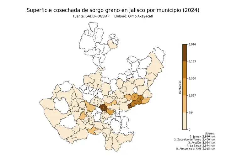 Superficie cosechada de sorgo en Jalisco por municipio
