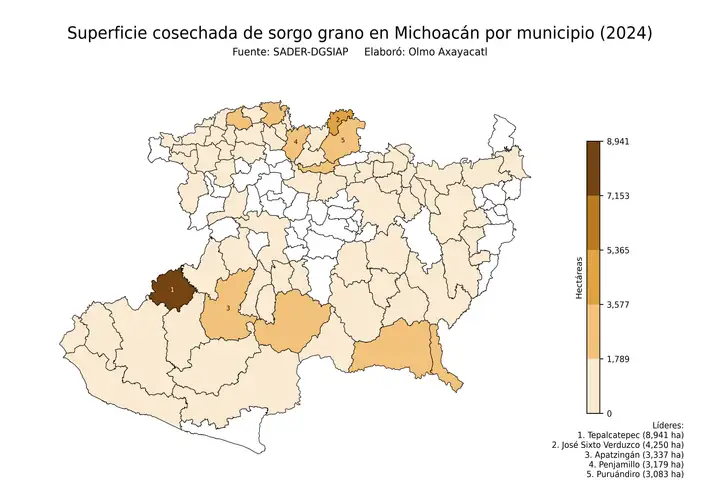 Superficie cosechada de sorgo en Michoacán por municipio