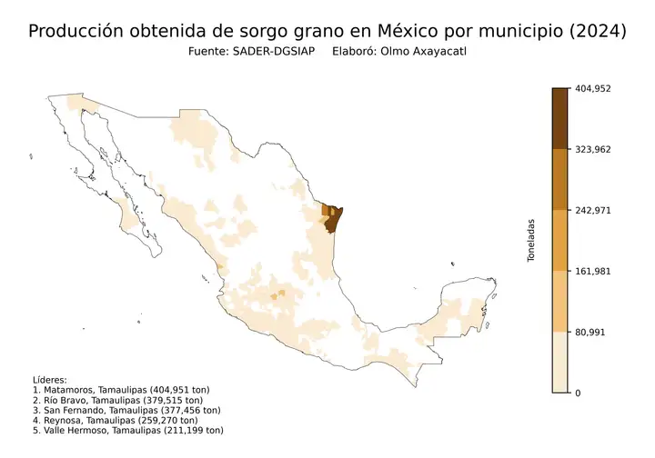 Producción obtenida de sorgo en México por municipio