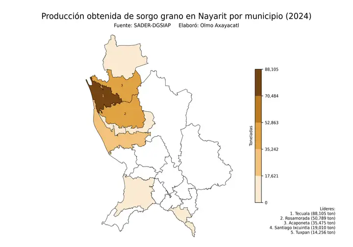 Producción obtenida de sorgo en Nayarit por municipio