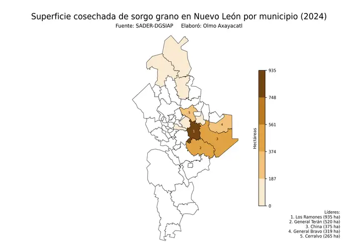 Superficie cosechada de sorgo en Nuevo León por municipio