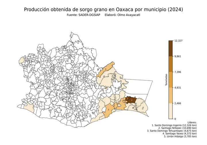 Producción obtenida de sorgo en Oaxaca por municipio