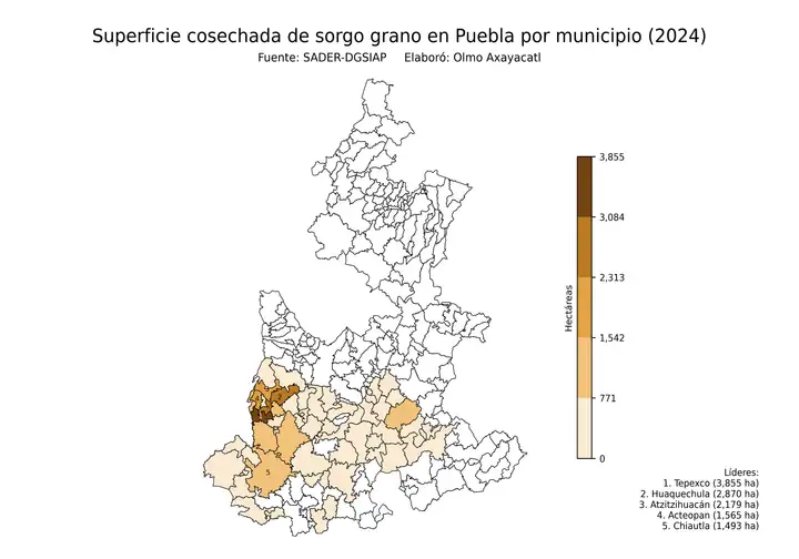 Superficie cosechada de sorgo en Puebla por municipio