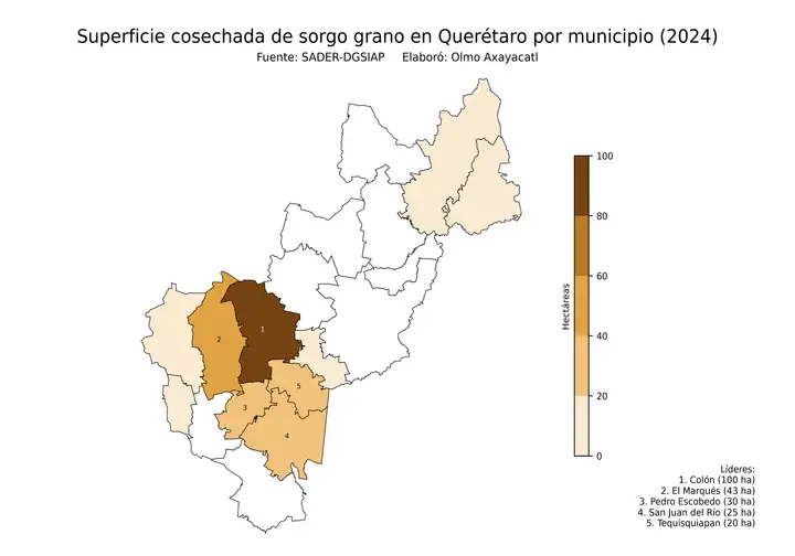 Superficie cosechada de sorgo en Querétaro por municipio