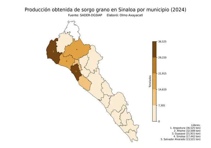 Producción obtenida de sorgo en Sinaloa por municipio
