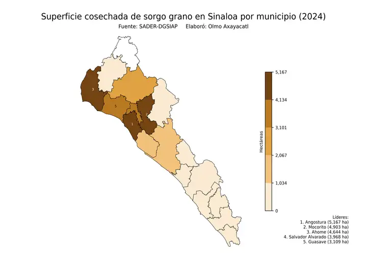 Superficie cosechada de sorgo en Sinaloa por municipio