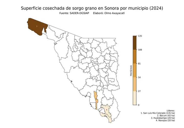 Superficie cosechada de sorgo en Sonora por municipio
