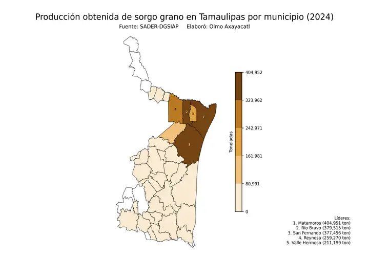 Producción obtenida de sorgo en Tamaulipas por municipio