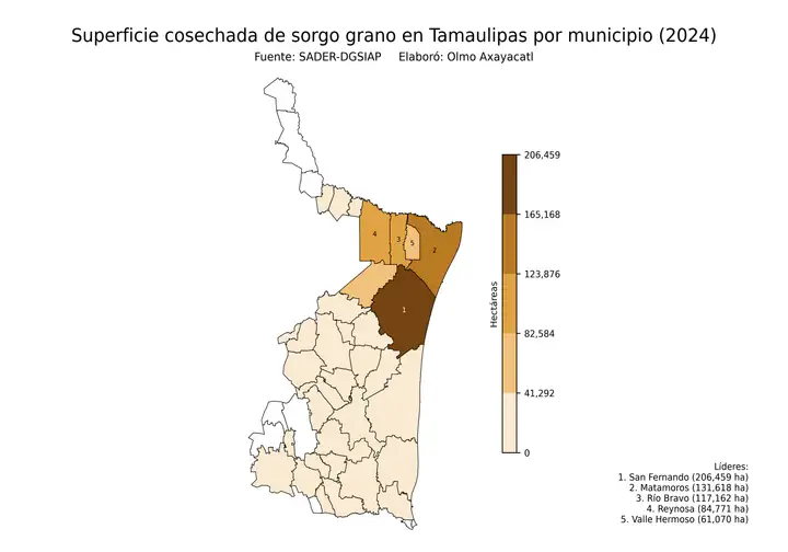 Superficie cosechada de sorgo en Tamaulipas por municipio