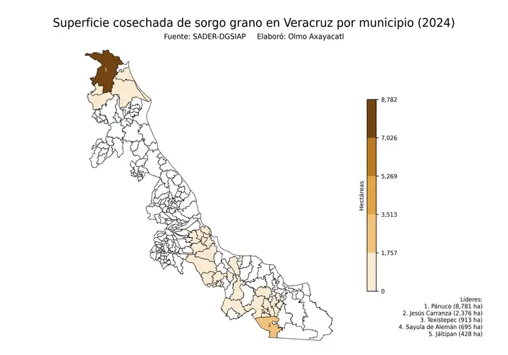 Superficie cosechada de sorgo en Veracruz por municipio