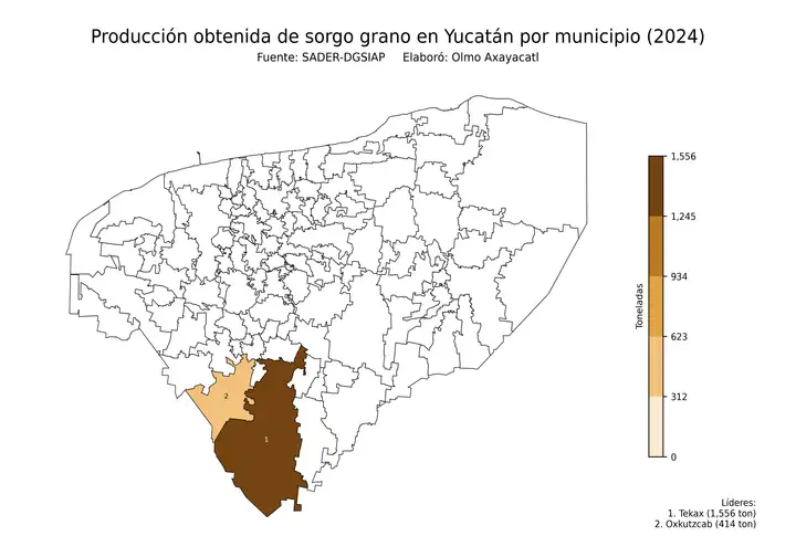 Producción obtenida de sorgo en Yucatán por municipio