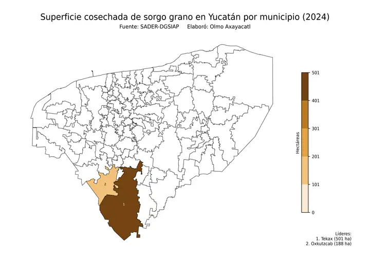 Superficie cosechada de sorgo en Yucatán por municipio