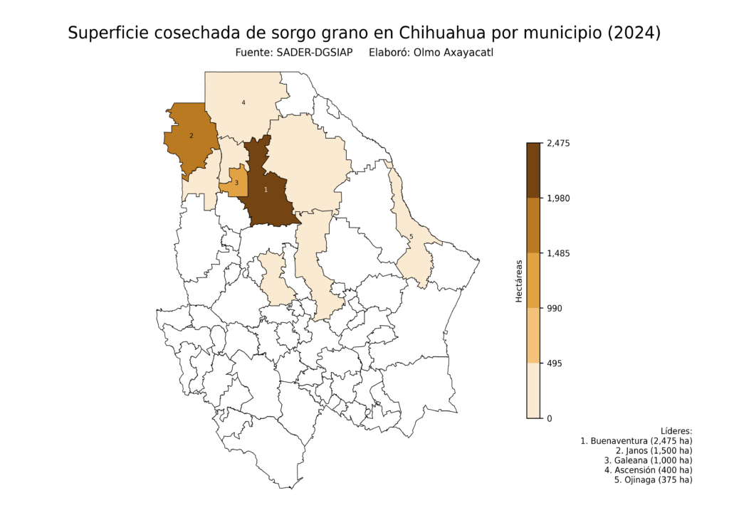México Producción Agrícola Sorgo grano Chihuahua (superficie cosechada)