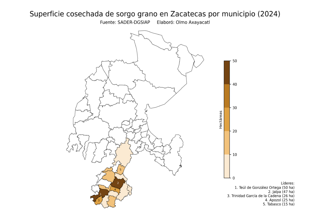 México Producción Agrícola Sorgo grano Zacatecas (superficie cosechada)