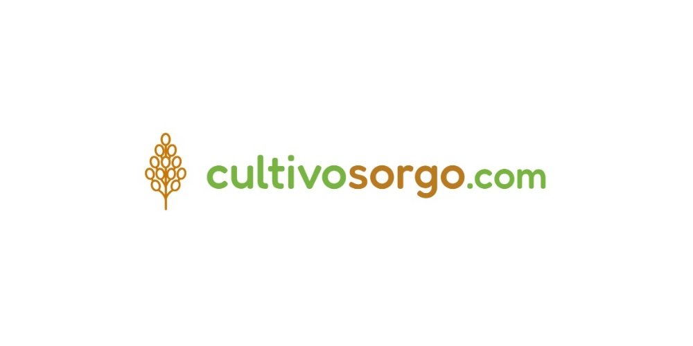 Curiosidades diversas sobre el cultivo de sorgo
